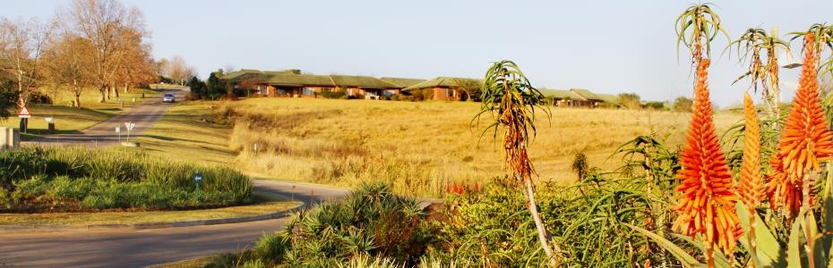 Circle_garden 2-05aee5d965